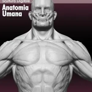Zbrush scultura digitale anatomia umana. Con DVD Spedito Oggi