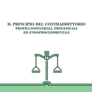 Compra Online Il principio del contraddittorio. Profili sostanziali, processuali ed endoprocedimentali