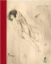 Picasso. Ediz. illustrata Professionale