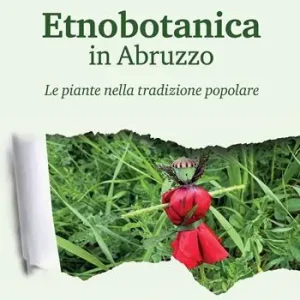 Etnobotanica in Abruzzo. Le piante nella tradizione popolare Compra Online