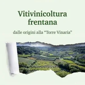 A Buon Prezzo Vitivinicoltura frentana. dalle origini alla «Torre Vinaria»