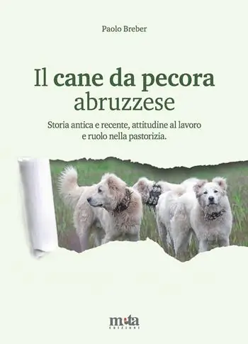Economico Il cane da pecora abruzzese. Storia antica e recente, attitudine al lavoro e ruolo nella pastorizia