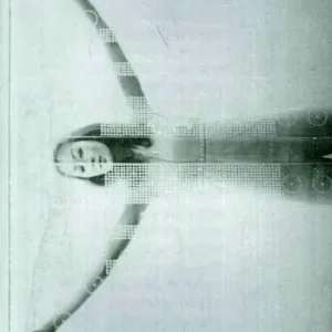 Radical pipers. Architetture per il divertissment Direttamente Dal Produttore
