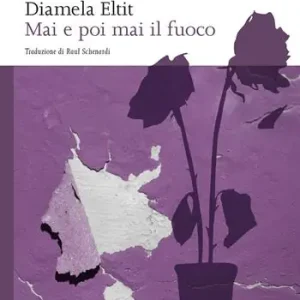 Spedizione Espresso Mai e poi mai il fuoco
