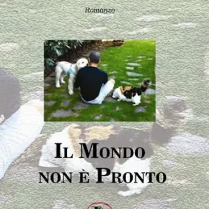 Il mondo non è pronto Super Prezzo