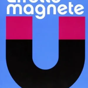 Effetto magnete. Un laboratorio per l‘ambito metropolitano della euroregione Pagamento Sicuro
