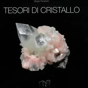 Tesori di cristallo. Una collezione mineralogica in 268 immagini e una manciata di ricordi Bestseller