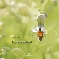 La società delle api. Immagini di un mondo staordinario. Ediz. italiana e inglese Di Tendenza