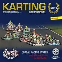 Karting internazionale 2014. I campionati WSK, CUC-FIA e Formula 4 Italia. Ediz. italiana e inglese Offerta Lampo