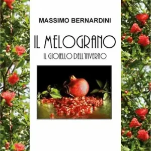 Melograno. Il gioiello dell‘inverno Subito Disponibile