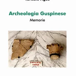 Nuova Collezione Archeologia guspinese. Memorie