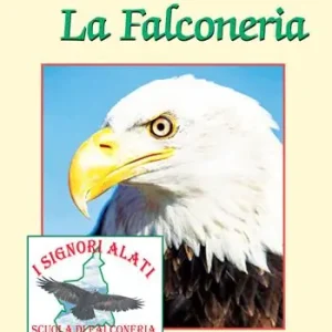 La falconeria. Con DVD video Ordina Subito
