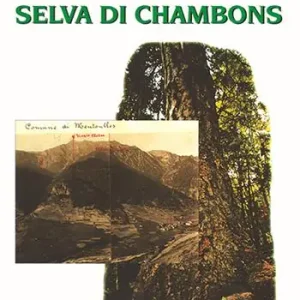 Occasione Imperdibile La selva di Chambons