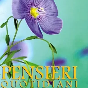 Prezzo Di Fabbrica Pensieri quotidiani 2016