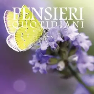 Pensieri quotidiani 2023 Ultime Pezzi