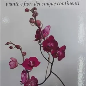 Prezzo Basso Dea flora