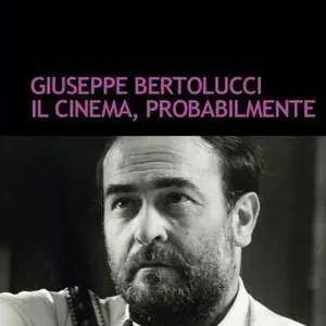 Il cinema, probabilmente. DVD. Con libro Promozione Esclusiva