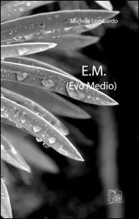Più Venduto E.M. (Evo medio)