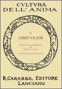 Il libri di Job Saldi