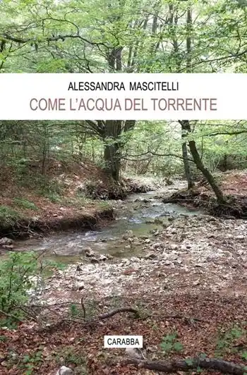 Pagamento Sicuro Come l‘acqua del torrente