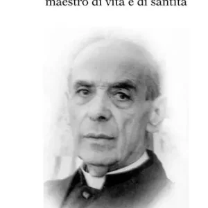Affare Don Nicola Priori. Maestro di vita e di santità