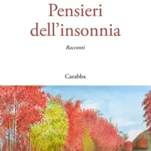 Spedizione Espresso Pensieri dell‘insonnia