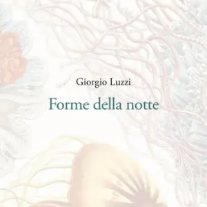 Acquista Ora Forme della notte