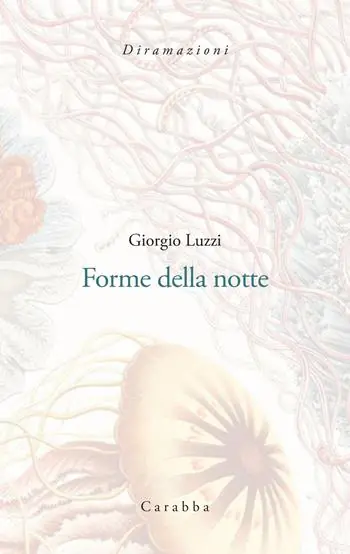 Acquista Ora Forme della notte