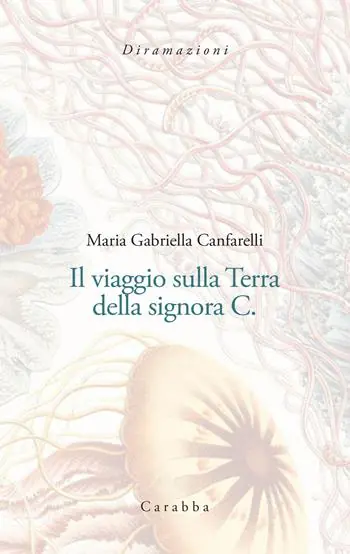 Il viaggio sulla terra della signora C. Vendita Finale