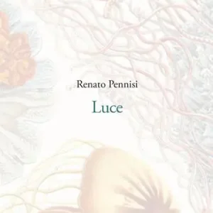 Luce Prezzo Ridotto
