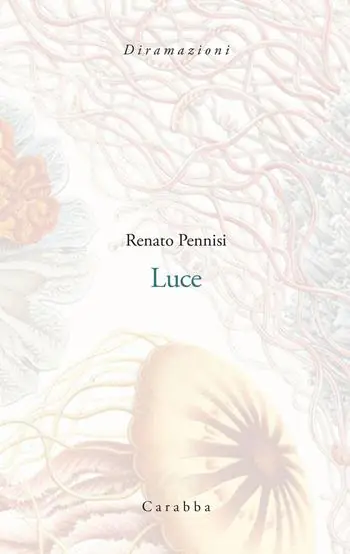 Luce Prezzo Ridotto