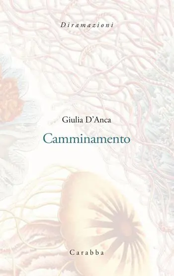 Vendita Finale Camminamento