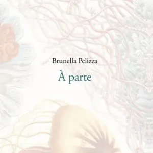 Spedizione Espresso À parte