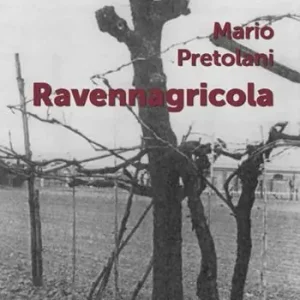 Ravennagricola Economico