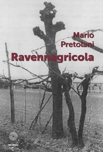 Ravennagricola Economico