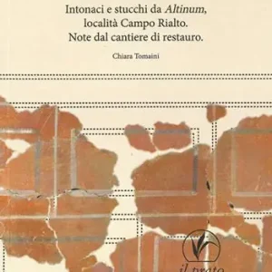 Offerta Lampo Pro memoria. Intonaci e stucchi da Altinum Località Campo Rialto. Note dal cantiere di restauro
