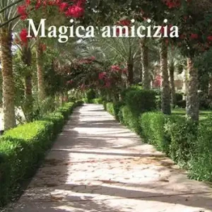 Magica amicizia Professionale