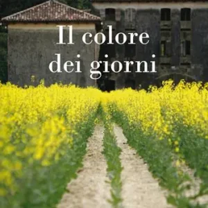 Il colore dei giorni Miglior Prezzo