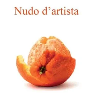 Nudo d‘artista Promozione Esclusiva