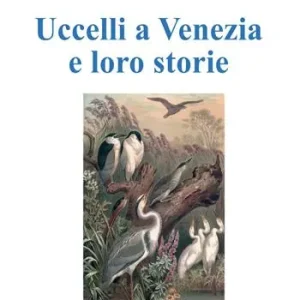 Uccelli a Venezia e loro storie Offerta Limitata
