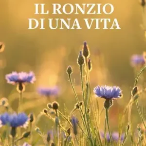 Prezzo Conveniente Il ronzio di una vita