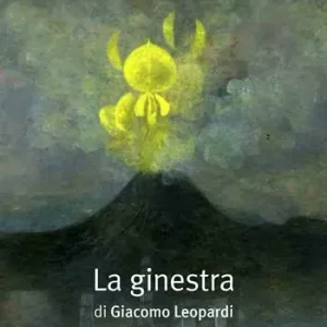 A Buon Prezzo La ginestra