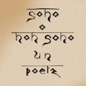 Sono o non sono un poeta Spedizione Espresso