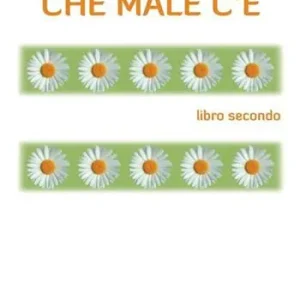 Saldi Che male c‘è. Libro secondo