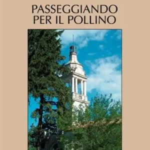 Passeggiando per il Pollino. Storia e arte di alcuni dei suoi centri abitati Occasione