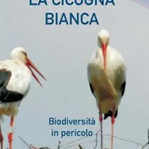 Occasione Imperdibile La cicogna bianca. Biodiversità in pericolo