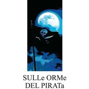 Sulle orme del pirata. Ediz. illustrata Prezzo Ridotto