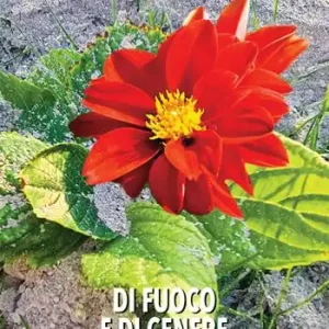 Direttamente Dal Produttore Di fuoco e di cenere