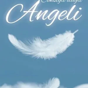 Sconto Consigli dagli angeli. Messaggi canalizzati