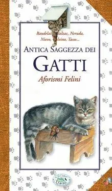 Bestseller Antica saggezza dei gatti. Aforismi felini